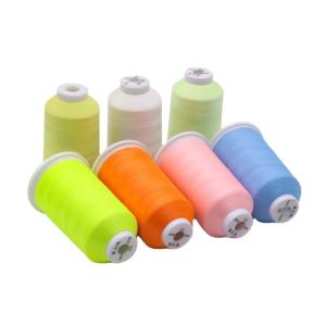 China 120D/2 150D/2 300D/2 Polyester Color Changing Embroidery Thread for Machine Embroidery wholesale