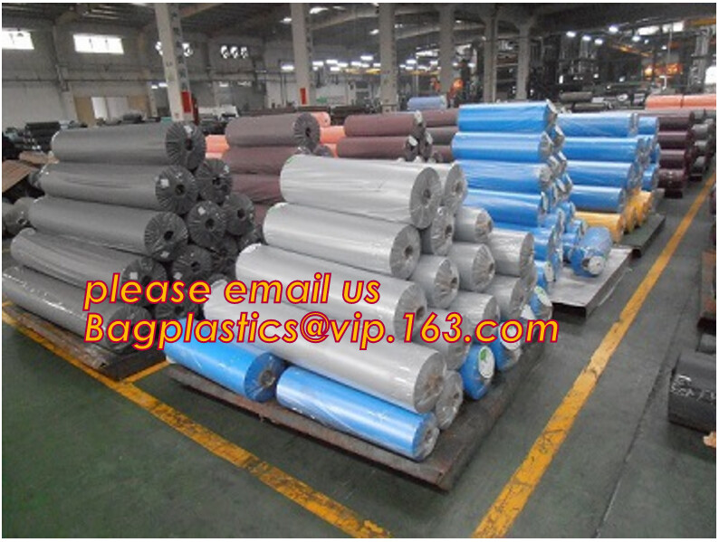 HOTICULTURAL MULCH FILM,AGRICULTURAL PE FILM,MARKET GARDENERS CLOCHE FILM,PE FILM FOR CORN,PLASTIC FILM COVER,TOMATO COV