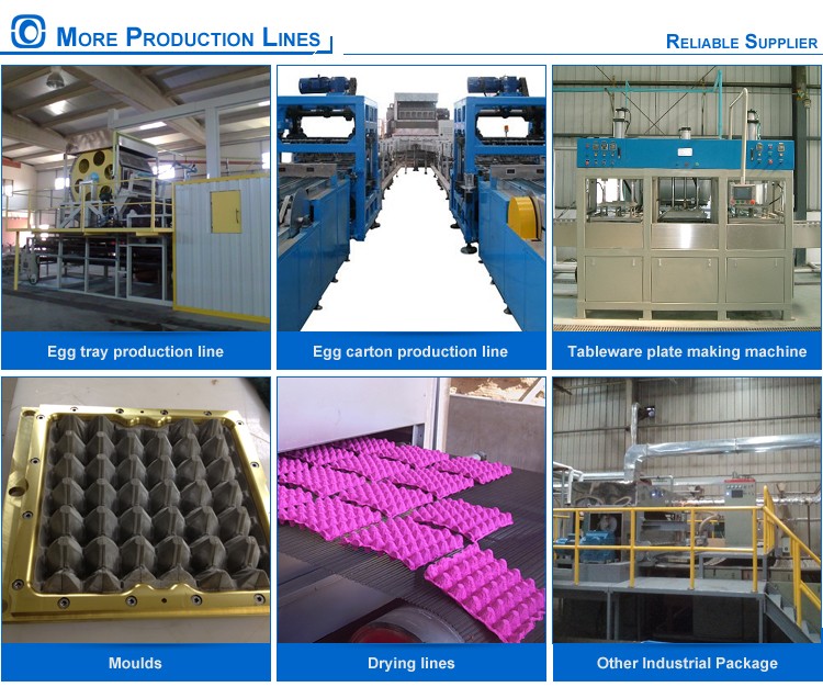 Large Output Pulp Egg Tray Machine 100kw Molding Rotary Fully Automatic