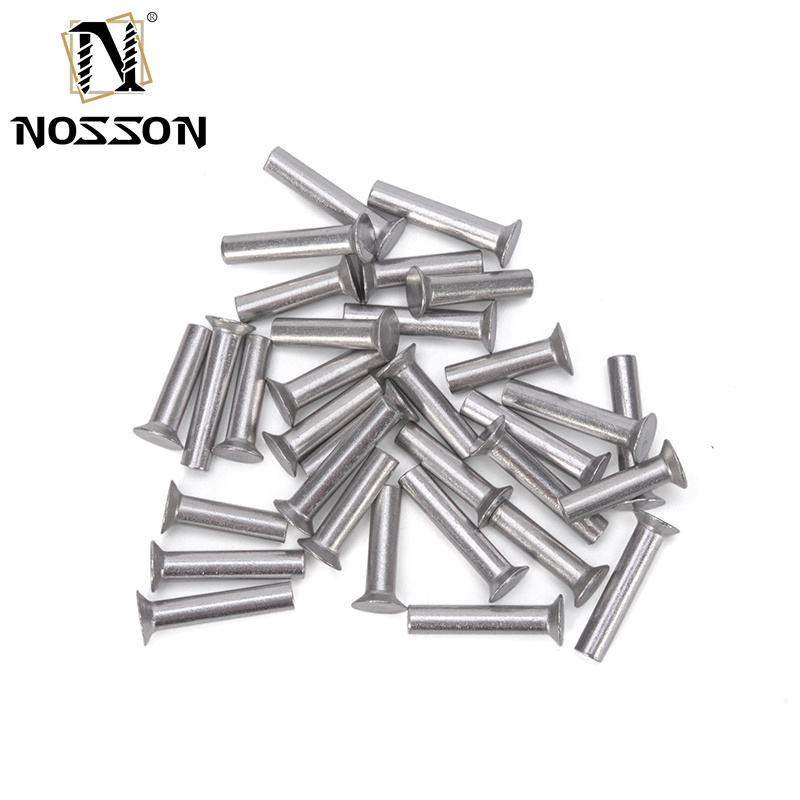 Aluminium Flat Thin Head Iron Rivet Solid Rivet Handle Knock Rivet Kit for Brake and Clutch Lining in Bright Finish Easy