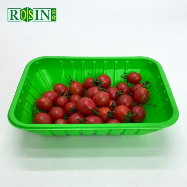 PP Corn Starch Disposable Fresh Meat Chicken Fruit Vegetable Container Plastic Frozen Food Packing Tray