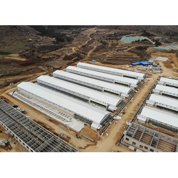 Silver Pig House Poultry Farming Structures HI HOPE Broiler Housing Structure
