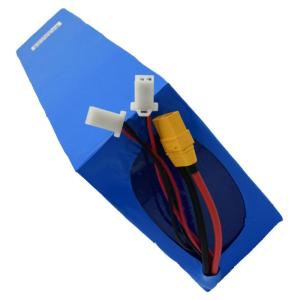 China 2200Wh Lithium Ion Bike Battery Pack wholesale
