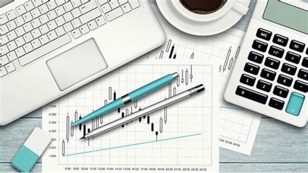 Quality Complex  Business Accounting Services Decrease Expenses Precise Calculating for sale
