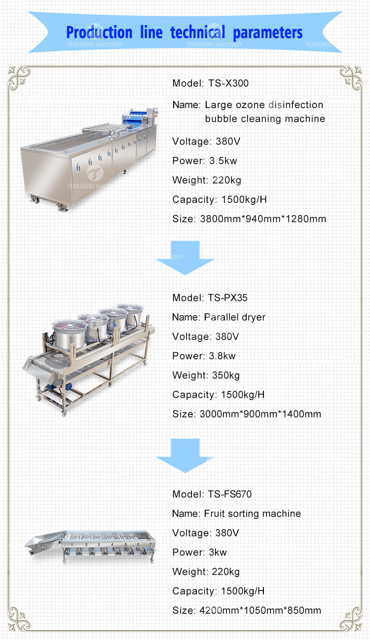 Silvery Personalization Passion Fruit And Vegetable Processing Line Fruit Cleansing Drying