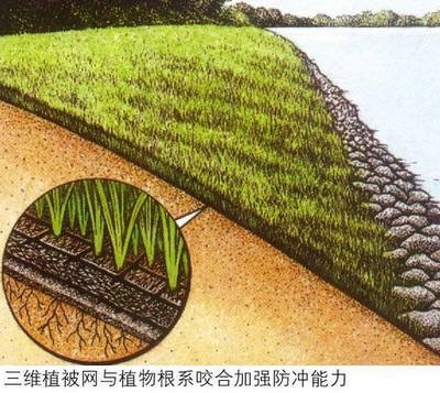 3D Geomat for Promoting Seed Sprout and Slope Stabilization in Railway Construction