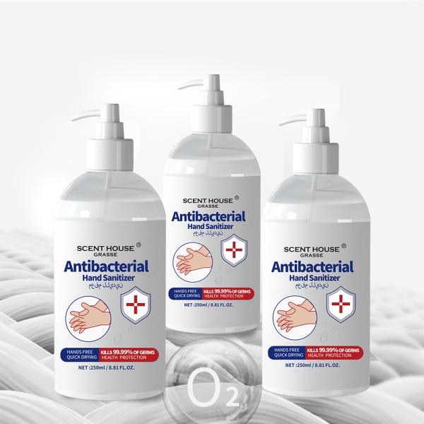 Alcohol Based Antibacterial Hand Sanitizer Gel , Quick Drying Antiseptic Hand Gel