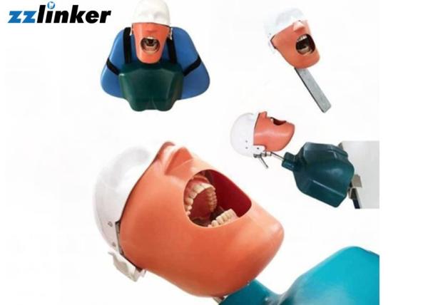 Quality Dental Simulator Dental Chair Unit Detnal Teaching Model Training Simulator Head with Belt for sale