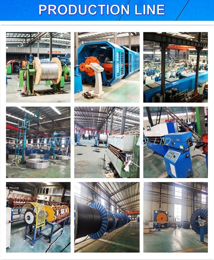 Electrical Power Transmission Lines AAC AAAC ACSR Acar ACSR Acasr Aluminum Conductor Power Cable