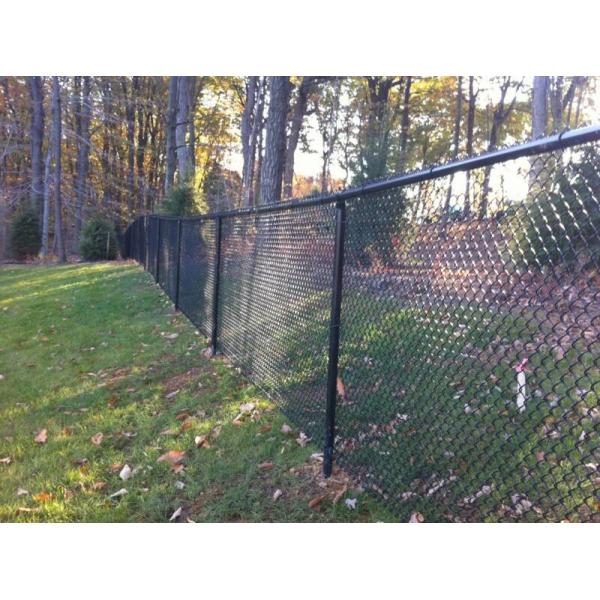 Black PVC Coated Chain-Link Fence/Cyclone 2.1m*15m*50mm*50mm*3.5mm