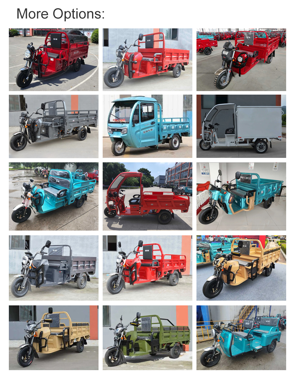 3 Wheel Electric Etrike with Front Drum Rear Drum Brakes and 70-90km Driving Mileage