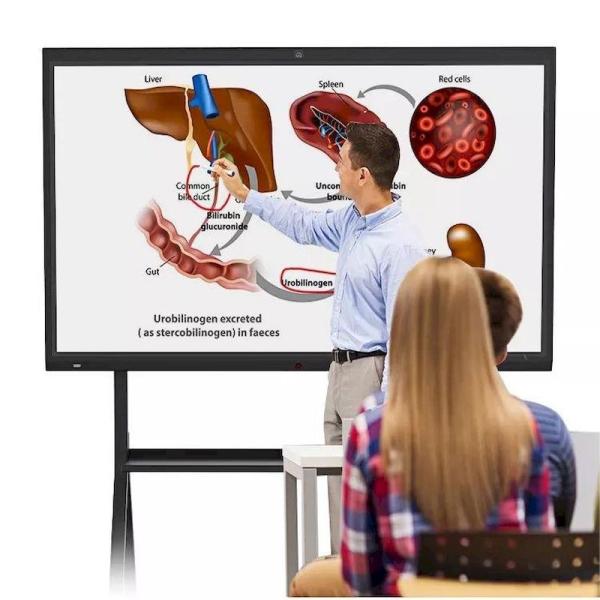 UHD Smart Interactive Flat Panel Touchscreen Clever Multitouch Type C