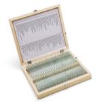 100pcs/set Prepared Microscope Slides Specimens Slides Set with Wooden Case