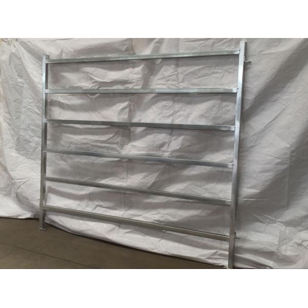 Galvanized cattle panel
