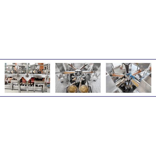 100P/M 300g Automatic Bag Packaging Machine For Food