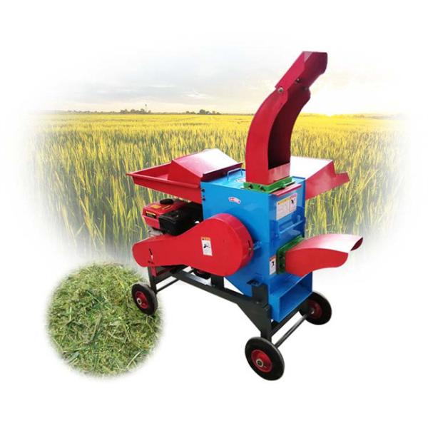 Quality Automatic Agriculture Chaff Cutting Machine Multipurpose Anti Corrosion for sale