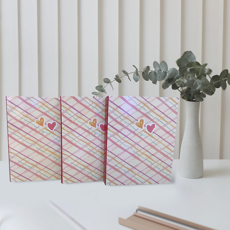 PP Folder Wholesaler Customized Colourful Cover Clip 3 Holes A4 File Folder for Office