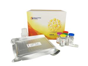 96 Wells Customized Mouse Elisa Kit Vascular Endothelial Cell Growth Factor