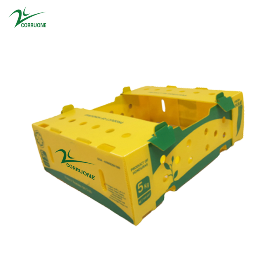 Correx Corn Vegetable Corrugated Boxes Corrugated Plastic Shipping Boxes