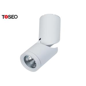 China COB 220V Ceiling Cylinder Surface Mounted Downlight For Showroom wholesale
