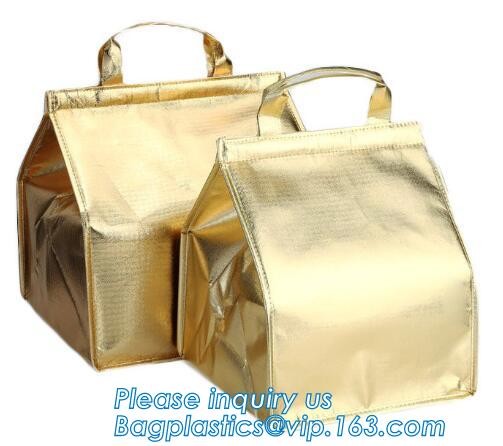 Customized logo printing insulated food delivery cooler bag,wholesale waterproof food delivery thermal bags bagplastics