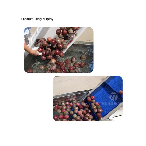 380V 0.375KW Stainless steel lifting conveyor food fruit and vegetable conveyor net belt lifting conveyor