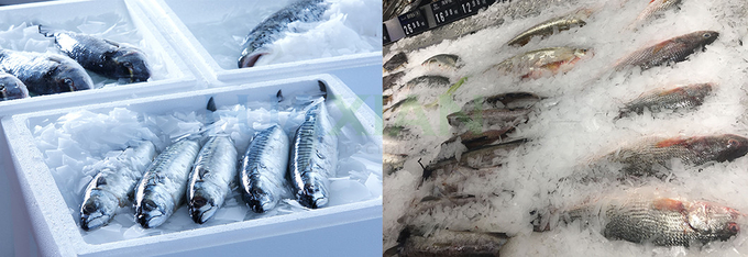 Air Cooled Refcomp Compressor 5 Tons Flake Ice Machine For Fish Storage