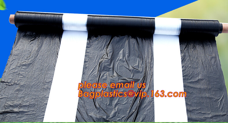 HOTICULTURAL MULCH FILM,AGRICULTURAL PE FILM,MARKET GARDENERS CLOCHE FILM,PE FILM FOR CORN,PLASTIC FILM COVER,TOMATO COV