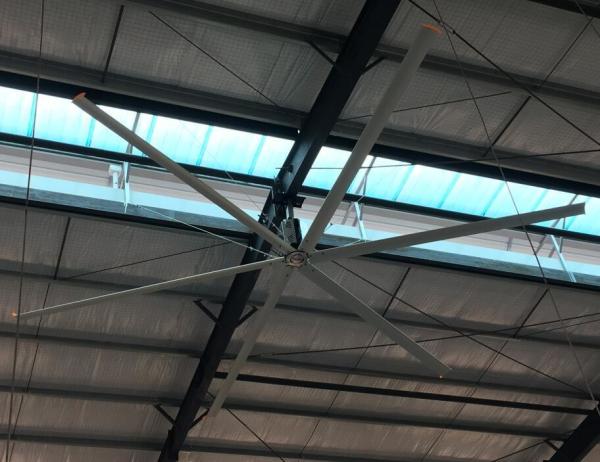 Quality Big Size of Industrial Ceiling Fan for sale