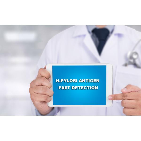 100% High Sensitivity 15min Colloidal Gold H Pylori Rapid Test Kit