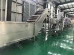 10T/H 440V Mango Puree Processing Line Flexible Operation Support