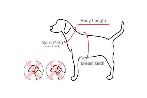 Air Mesh Nylon Dog Harness Cute Design Multiple Colors Comfortable Breathable