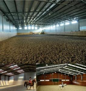 China Customizable Steel Framed Agricultural Buildings Horse Shed  Anti Seismic wholesale