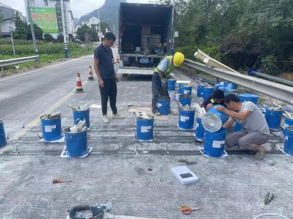 Quality Real-time Data Acquisition Vehicle Detection System With Speed Capabilities And System Speed Of 0.5-105km/h for sale
