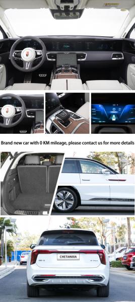 Intelligent Medium Size SUV 460km Used SUV Cars Hongqi E-HS9