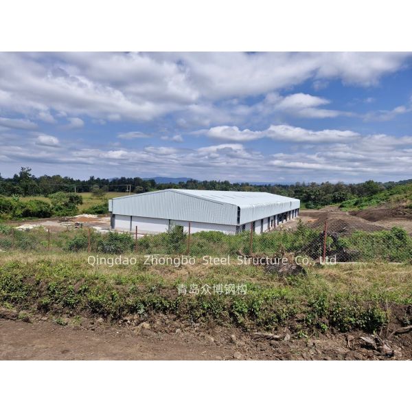 Customizable Steel Structure Workshop with Large Span Design and Q235B Q355 Grade for Industrial Facilities
