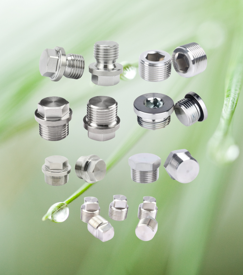 10mm Titanium Pipe Plug Stainless Steel Inox Polished Hex Socket Screws Din908 Your Go-To Product for Easy Installations