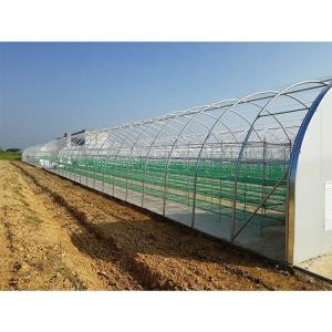 Customized Agricultural Equipment Plastic Film Cover Mushroom Green House