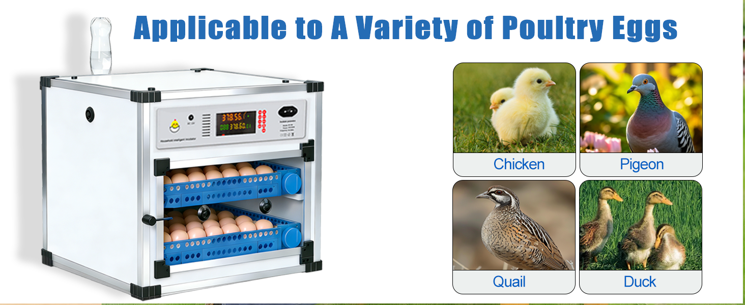 Automatic 136 Eggs Egg Incubator With Auto Turner, Digital Temperature Humidity Control & Water Refill, Incubators For Hatching Eggs For Chicken Duck