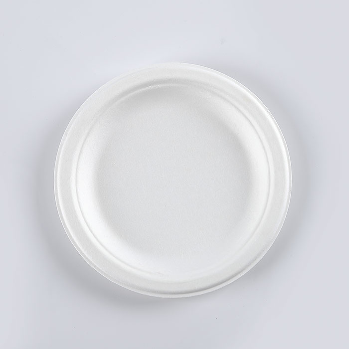 Custom eco friendly round party paper plate 9 inch biodegradable disposable sugarcane bagasse plate