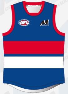 China Custom 4XL Afl Football Jumpers , 300gsm Afl Player Issue Guernsey wholesale