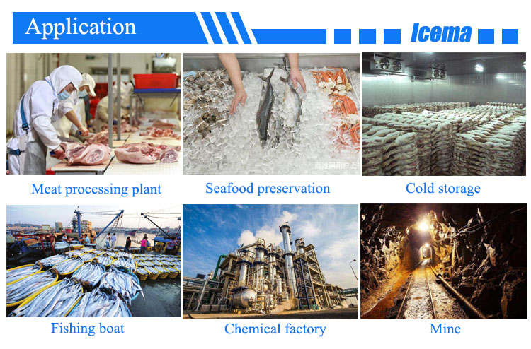 Fish Cold Room Freezer Room walk in chiller rooms