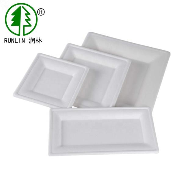 Quality Rectangular Biodegradable Sugarcane Bagasse Plates Environmentally Friendly Natural Fiber for sale