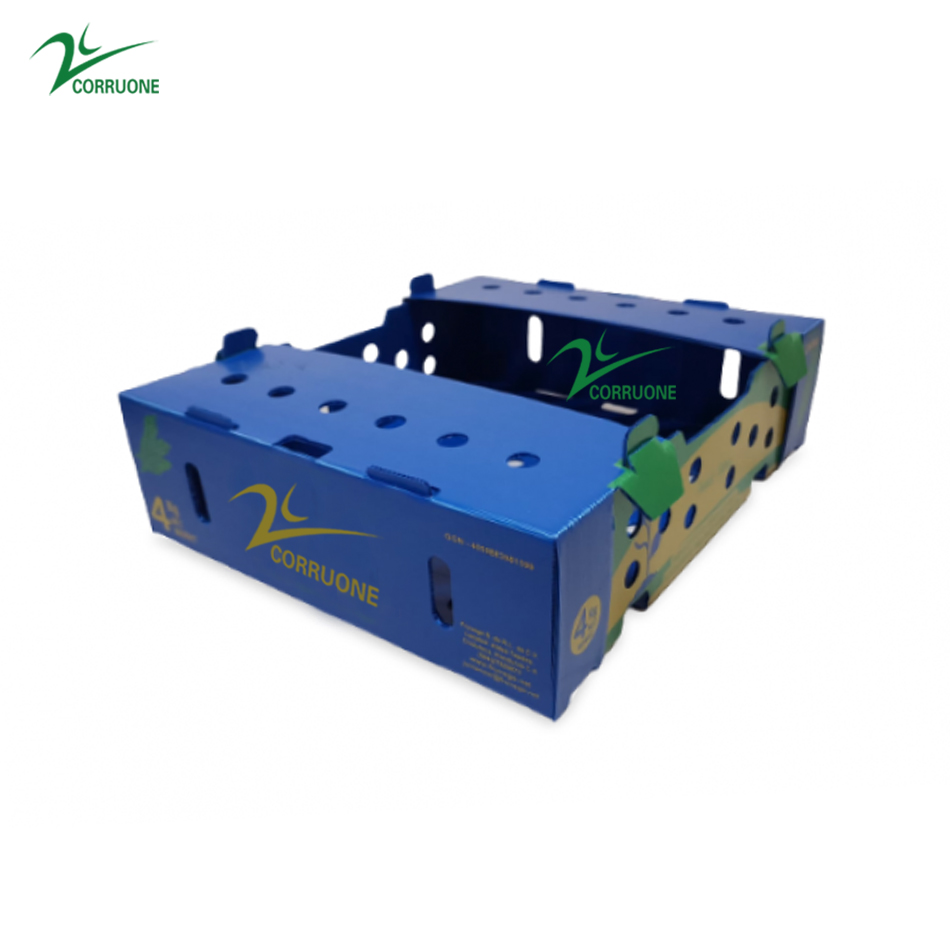 Correx Corn Vegetable Corrugated Boxes Corrugated Plastic Shipping Boxes