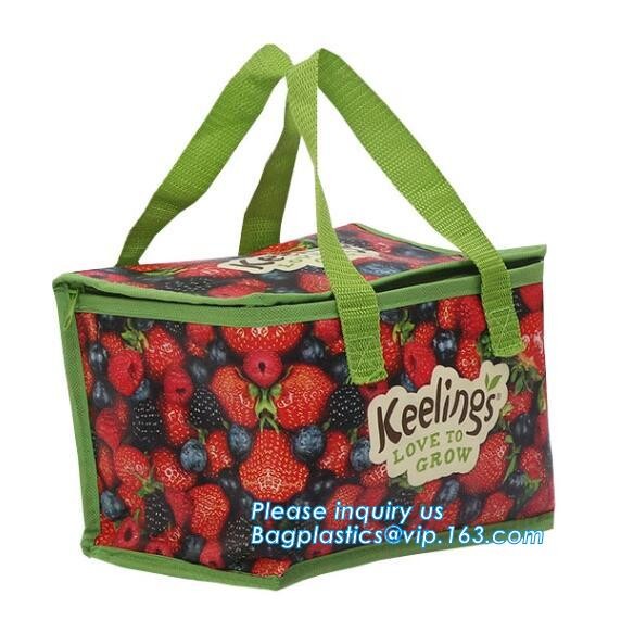 Customized logo printing insulated food delivery cooler bag,wholesale waterproof food delivery thermal bags bagplastics