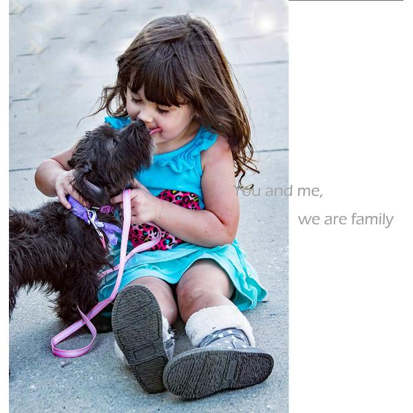 Pink Waterproof Dog Leash 4ft No Pull Unchewable Basic Rubber Corrosion Resistant