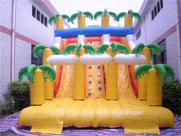 Quality Hottest Tropical Inflatable Slide (CYSL-55) for sale