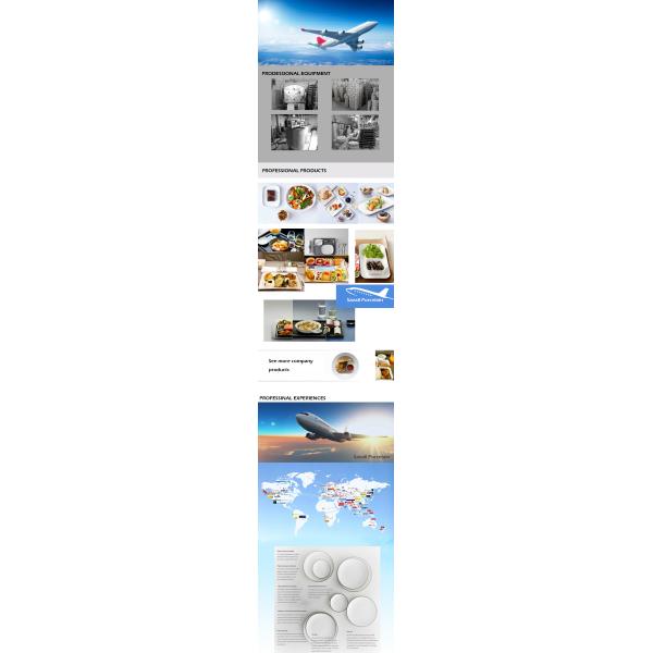 SAVALL Rectangle Airline Tableware Lightweight Bone China Dinnerware