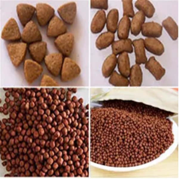500kg/H Small Fish Food Pellet Making Machine 2.2kw Cutting Power