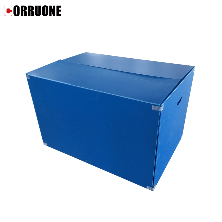 Asparagus Corrugated Plastic Produce Boxes Food Grade Black White
